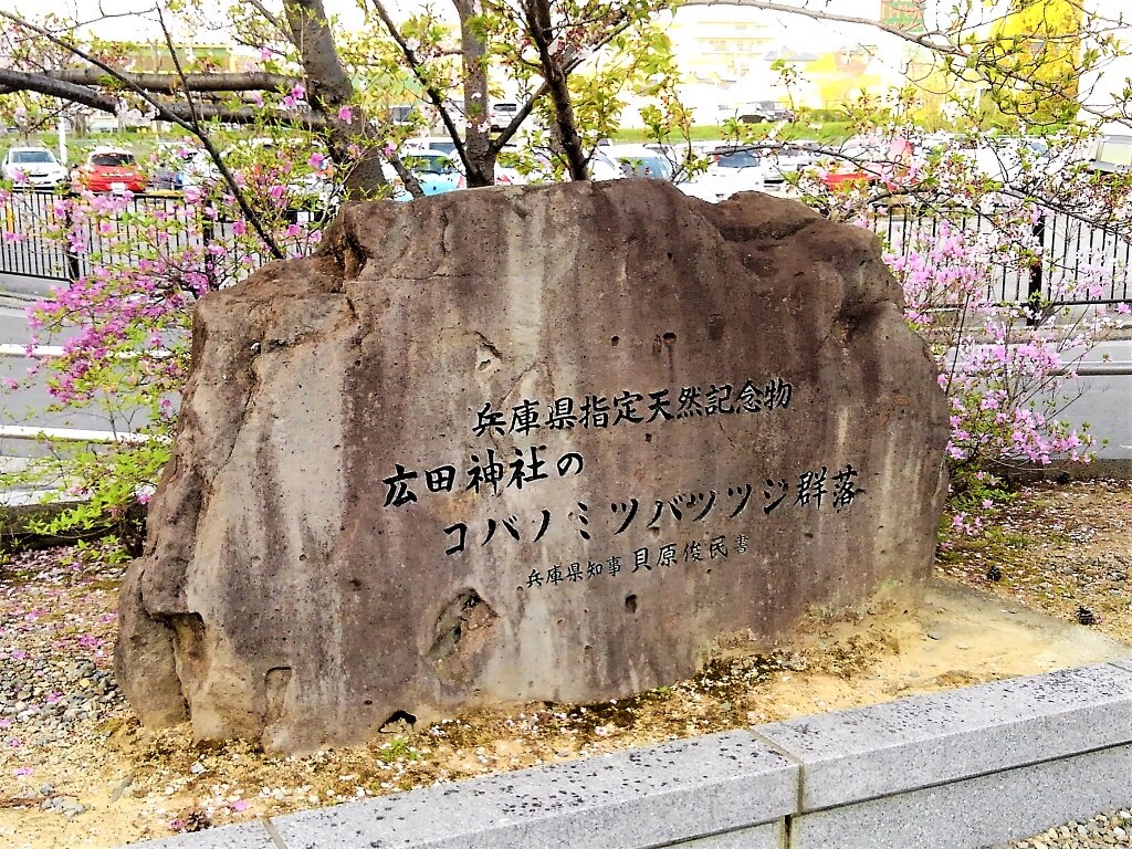 天然記念物を示す石碑