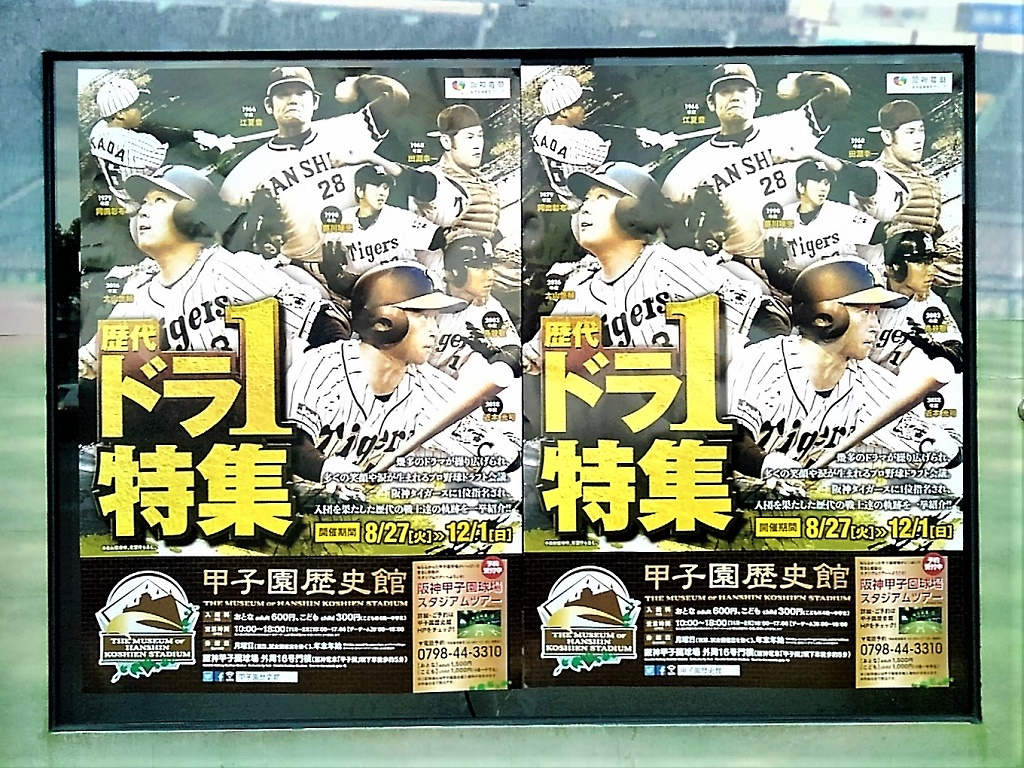 西宮市 阪神甲子園球場でプロ野球再開 これに合わせ 8月27日から