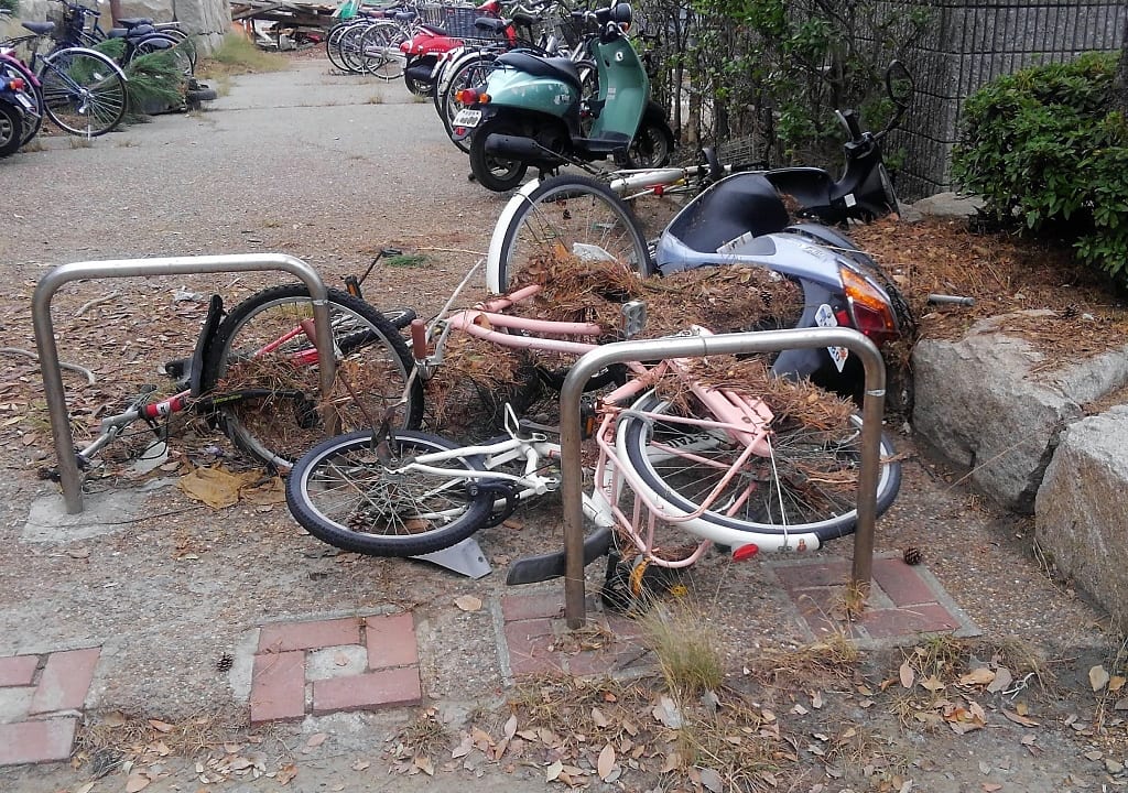 高潮被害にあった自転車