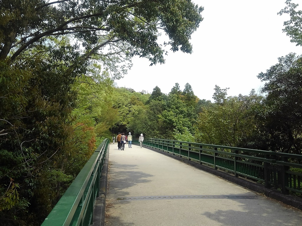 甲山森林公園①