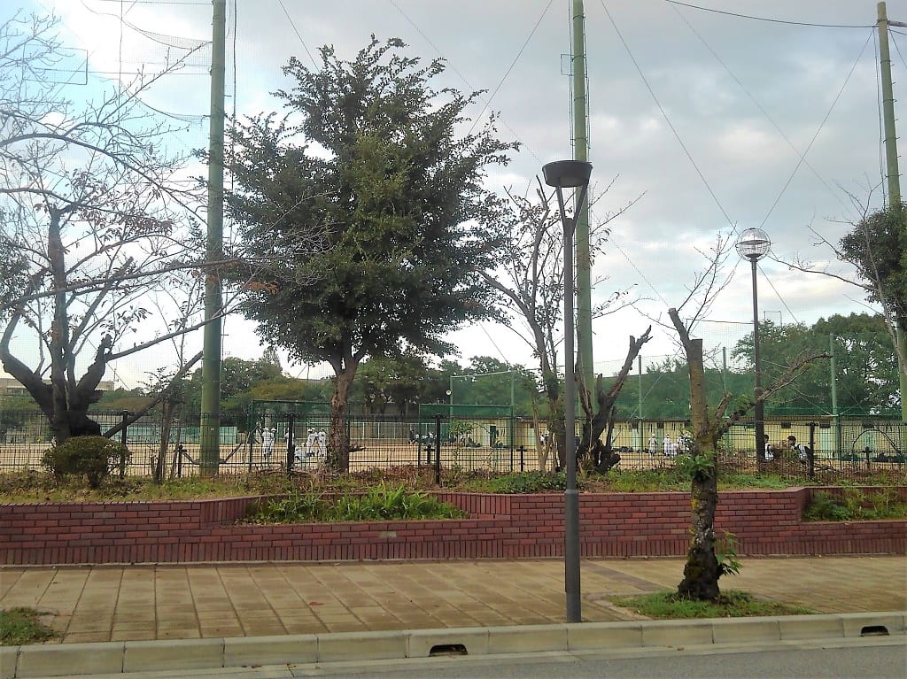 練習中の野球部