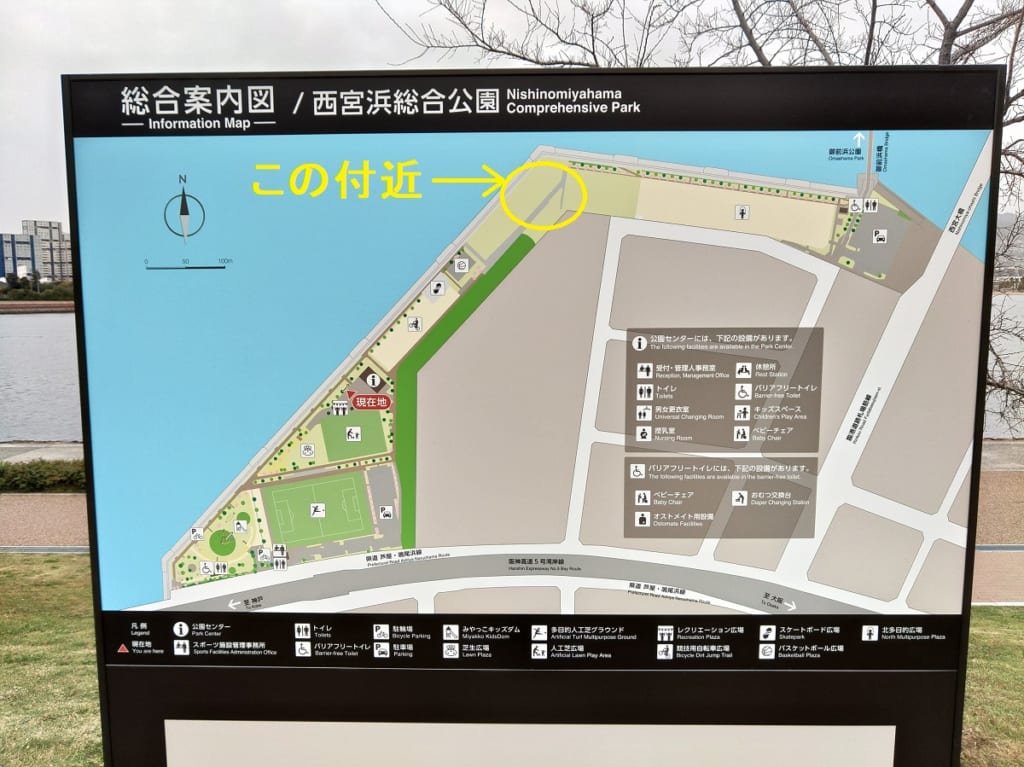 西宮市4月14日西宮浜総合公園に西宮浜 BBQ PARK powered by LOGOSがオープンその様子を見てきました