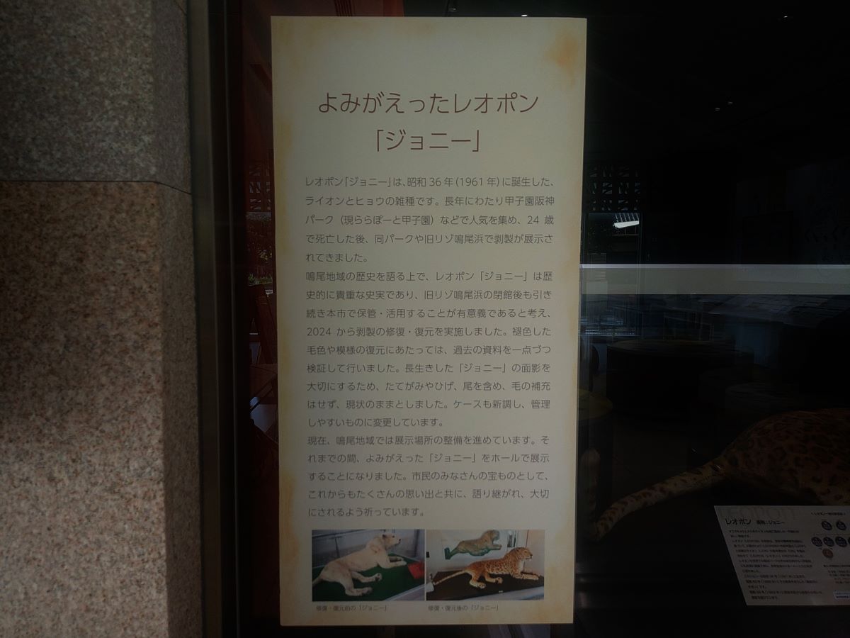 展示②