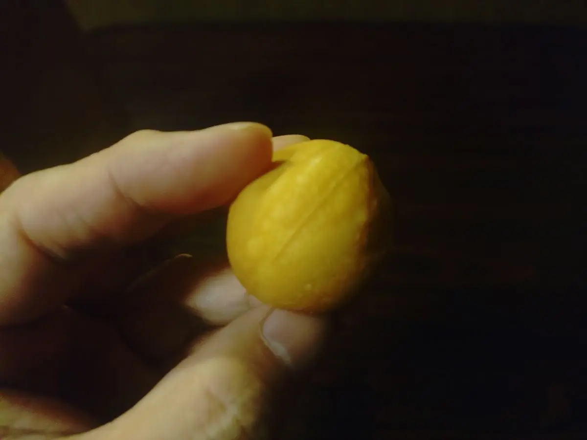 ベビーカステラ②